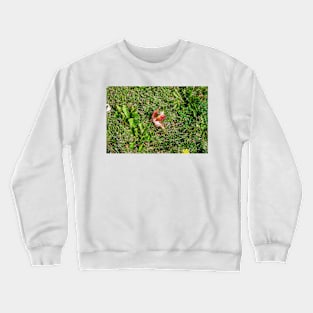 Single Maple Leaf and Dandelion Crewneck Sweatshirt